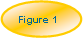 Oval: Figure 1